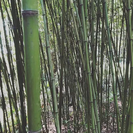 Apartman Mypalmassuite With Free Parking In